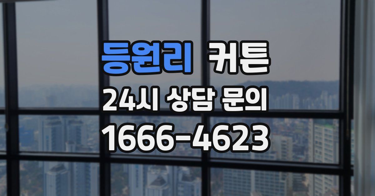 등원리 커튼