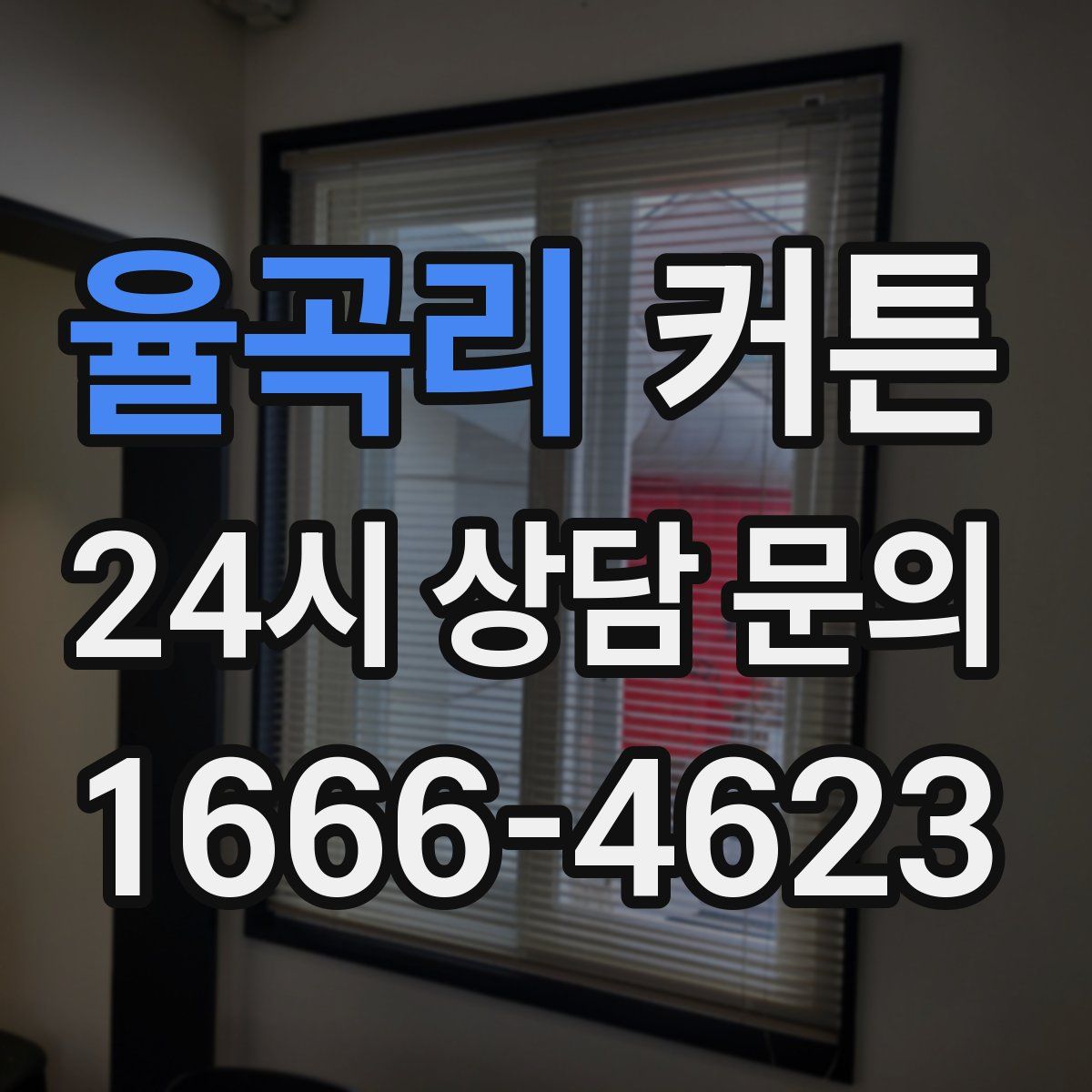 율곡리 커튼