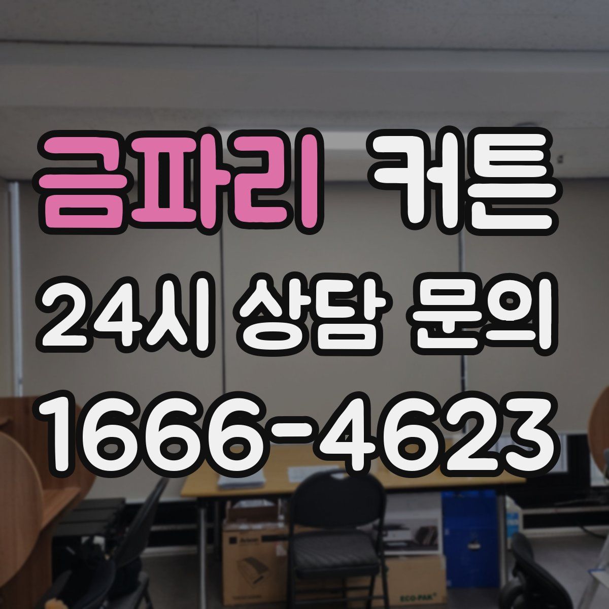 금파리 커튼