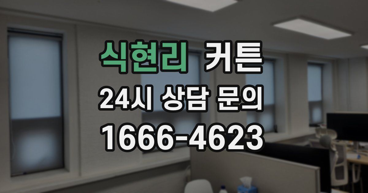 식현리 커튼