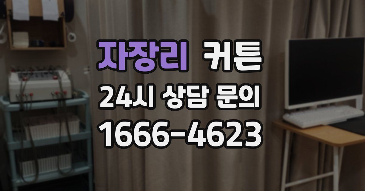 자장리 커튼