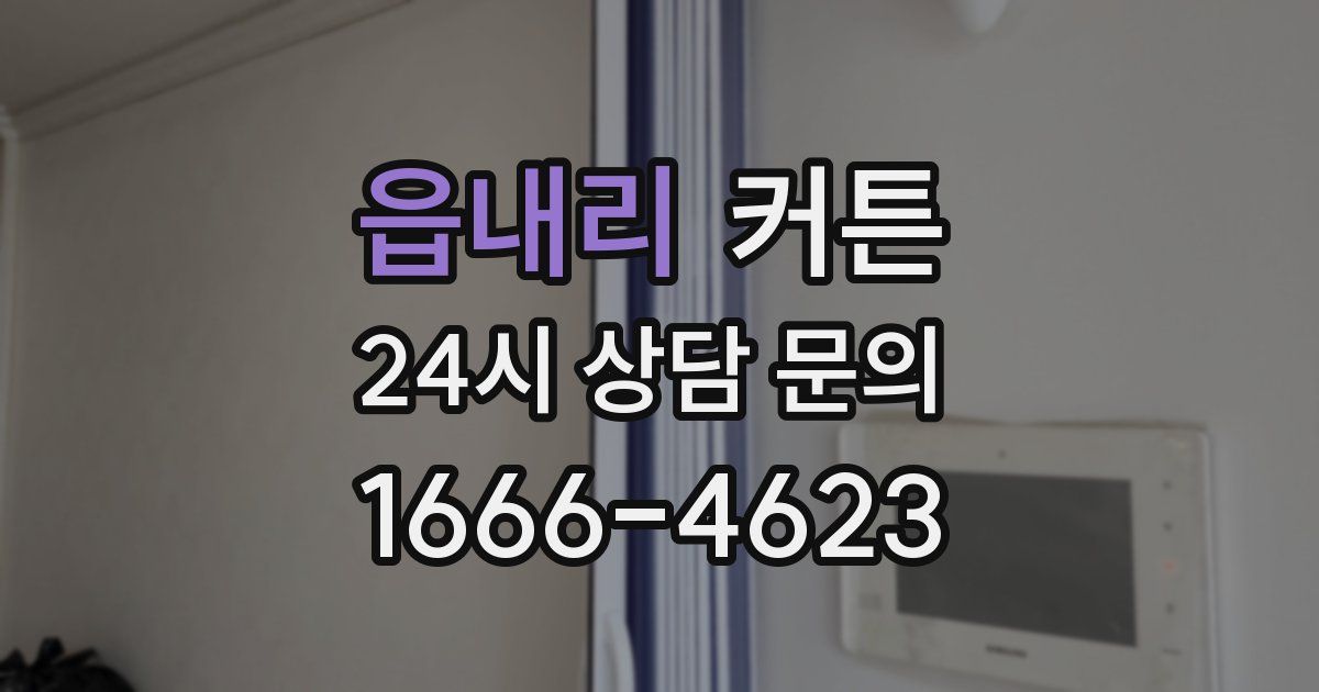 읍내리 커튼