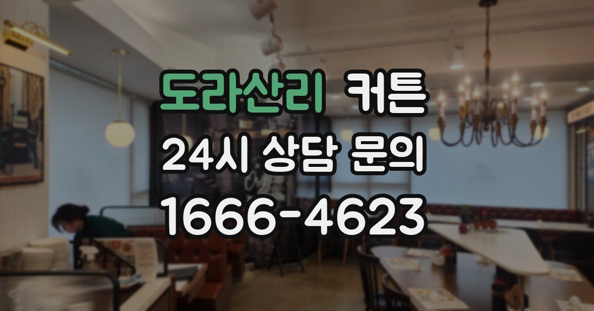 도라산리 커튼