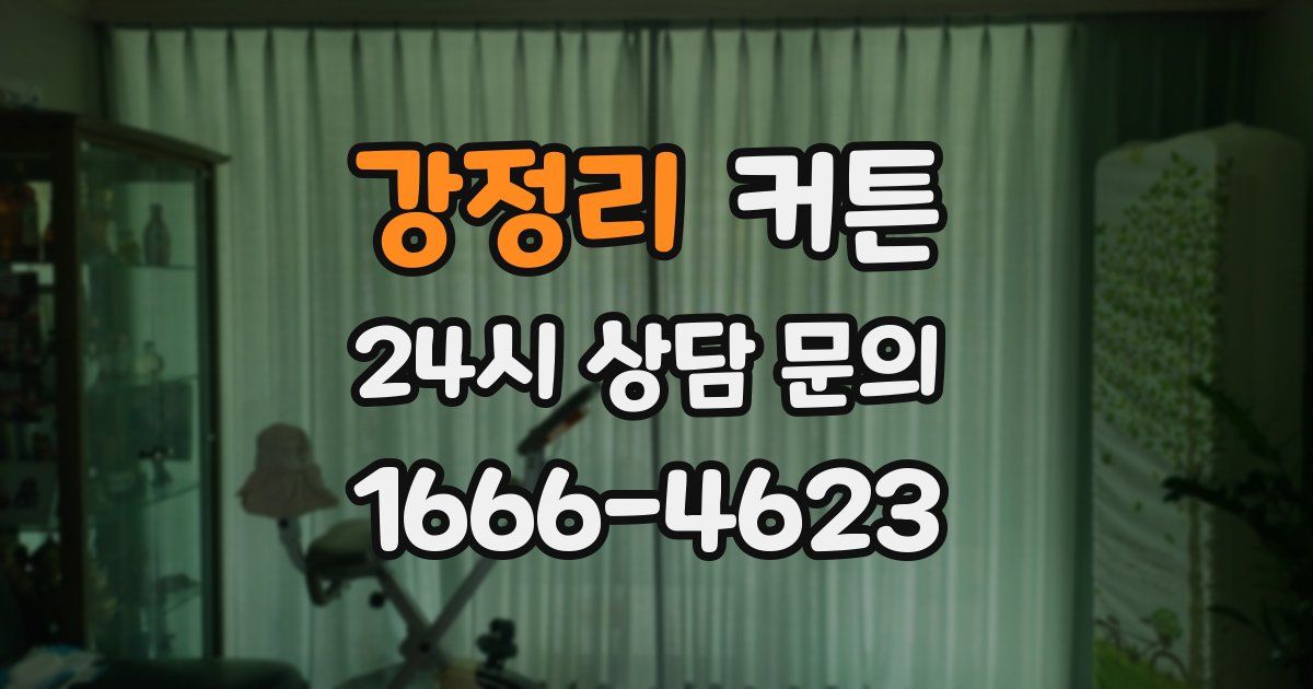 강정리 커튼