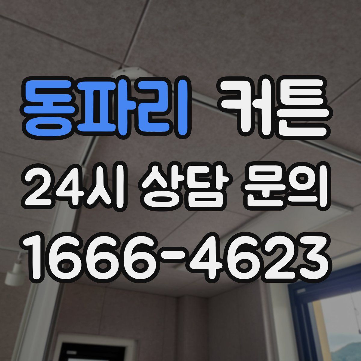 동파리 커튼
