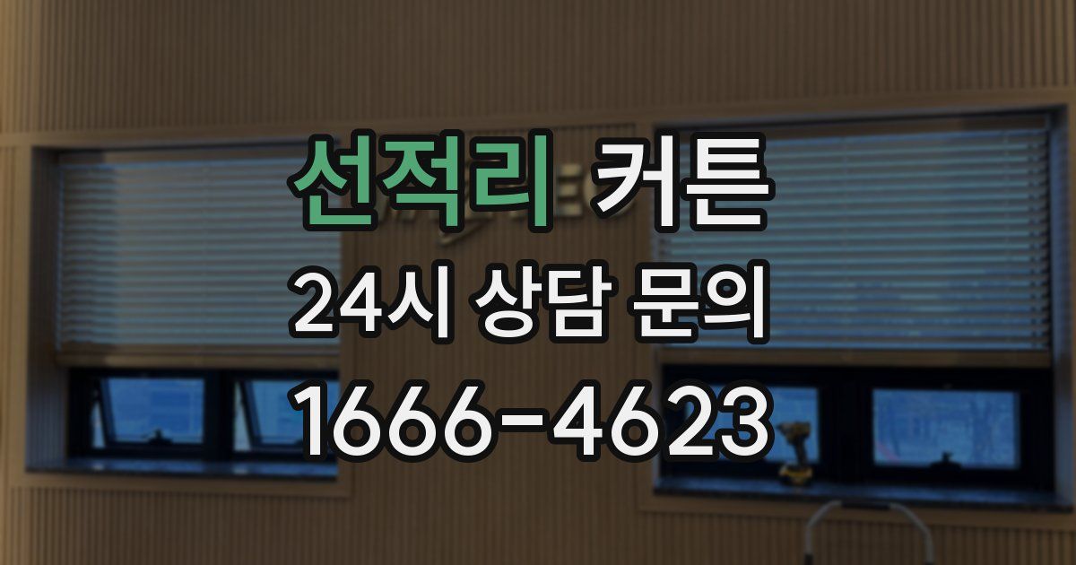 선적리 커튼