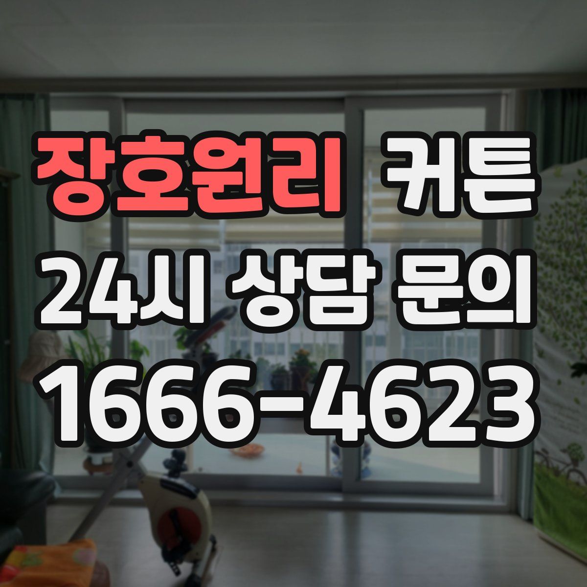 장호원리 커튼