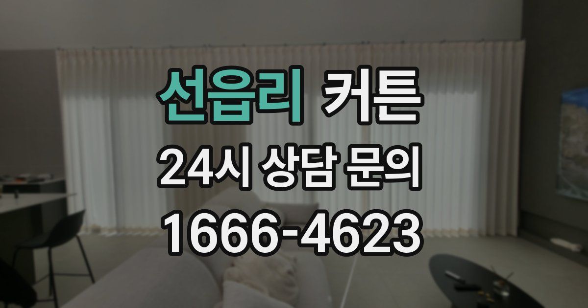선읍리 커튼