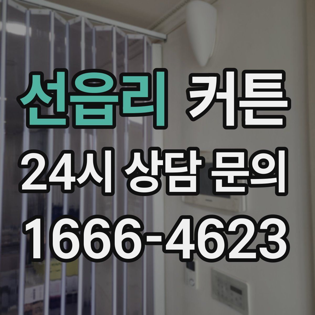 선읍리 커튼