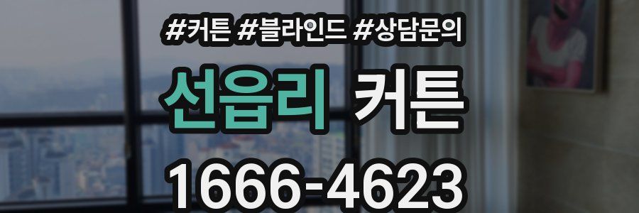 선읍리 커튼