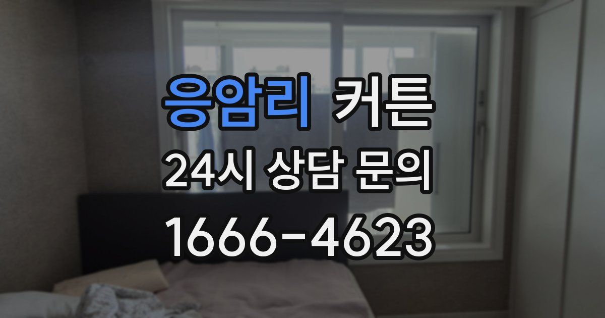 응암리 커튼