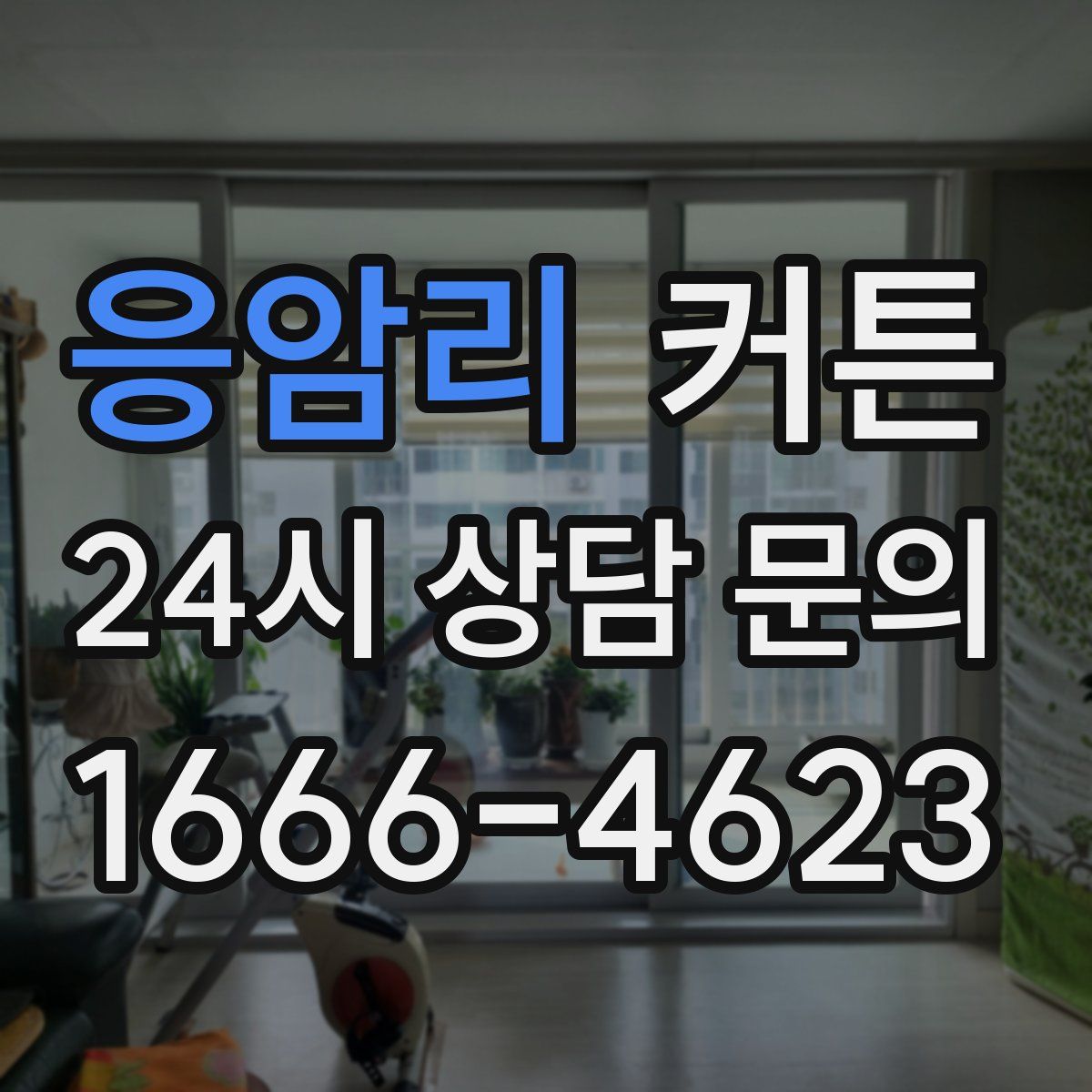 응암리 커튼