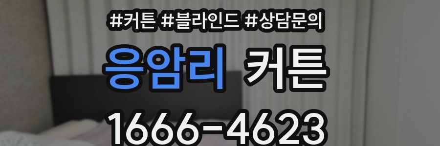 응암리 커튼