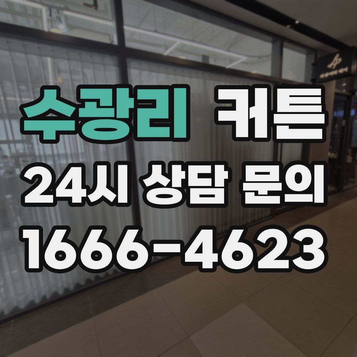 수광리 커튼