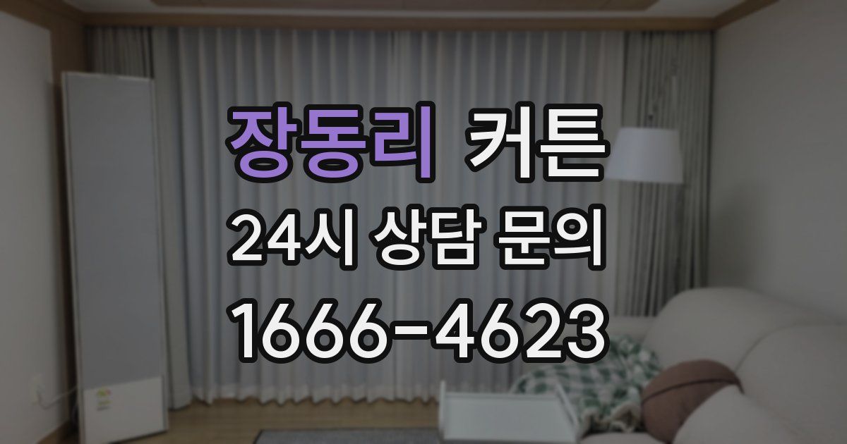 장동리 커튼