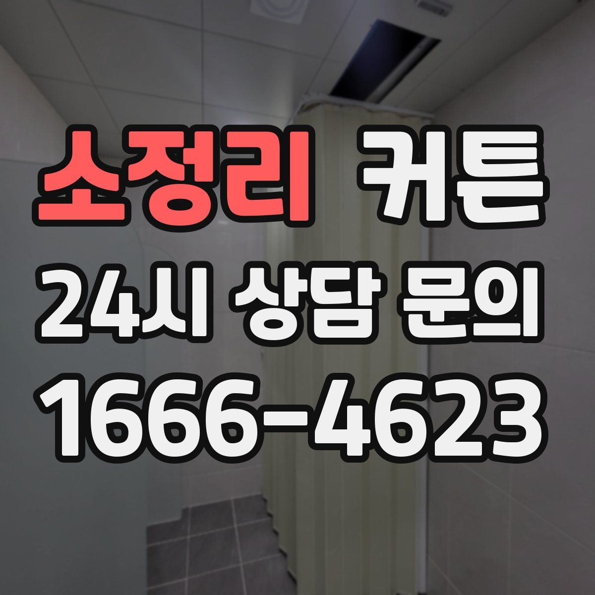 소정리 커튼