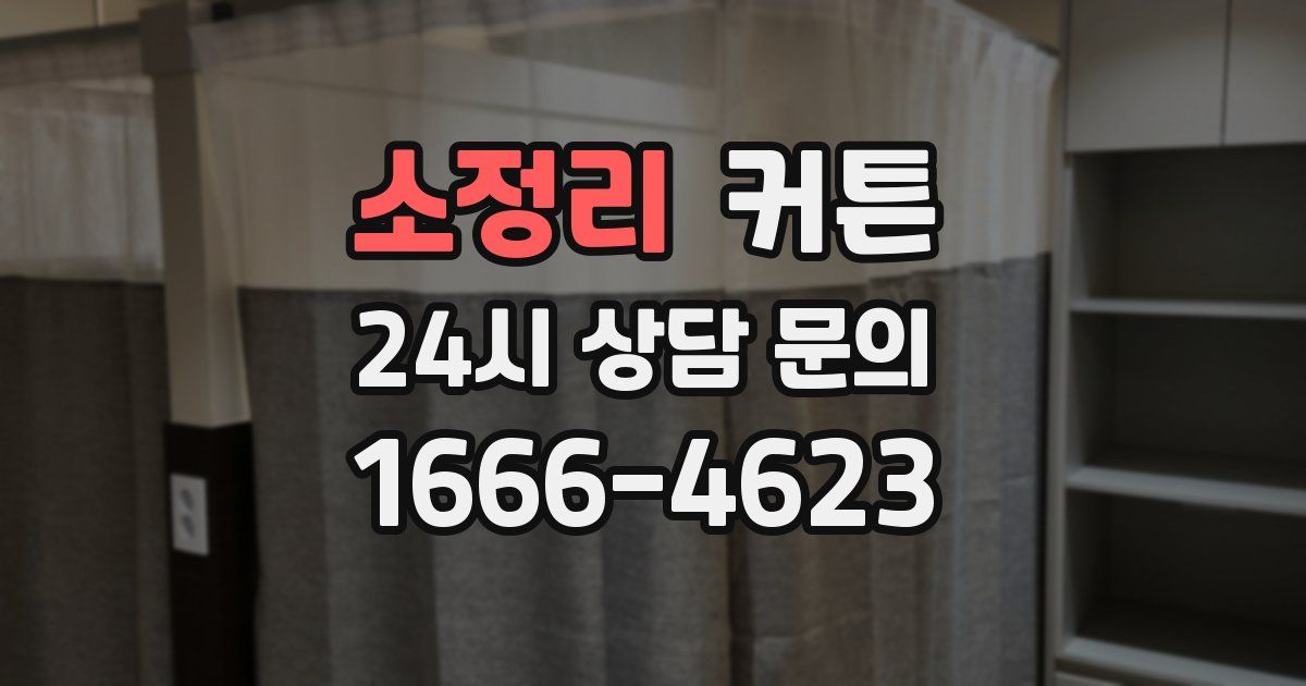 소정리 커튼