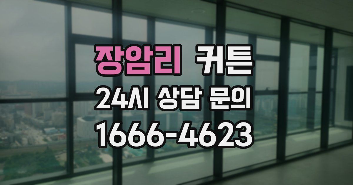 장암리 커튼