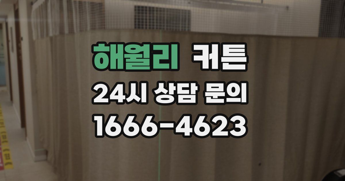 해월리 커튼