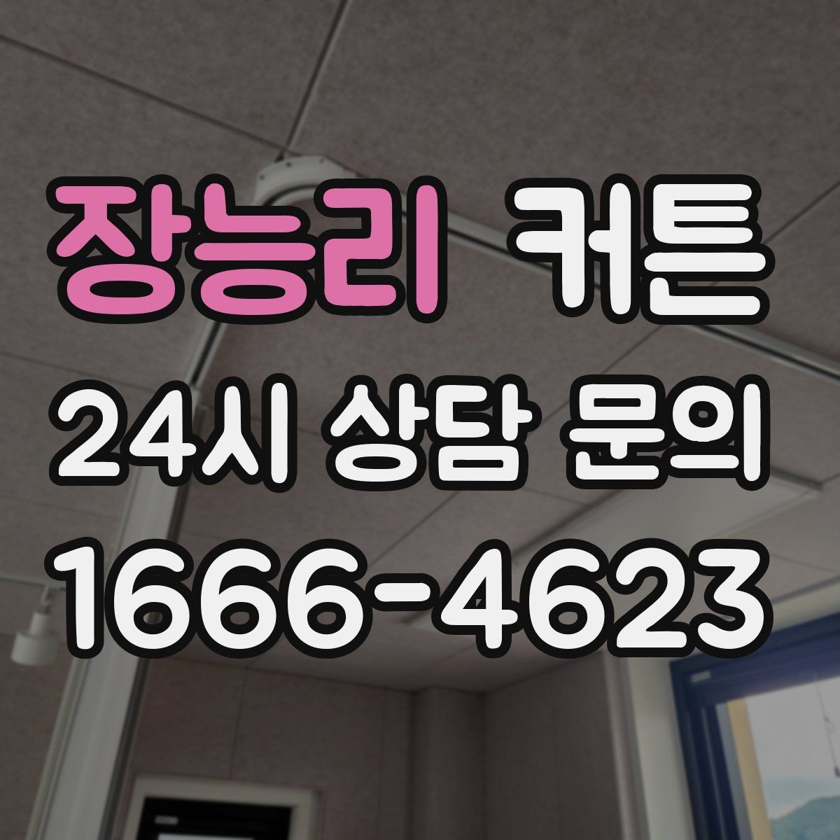 장능리 커튼