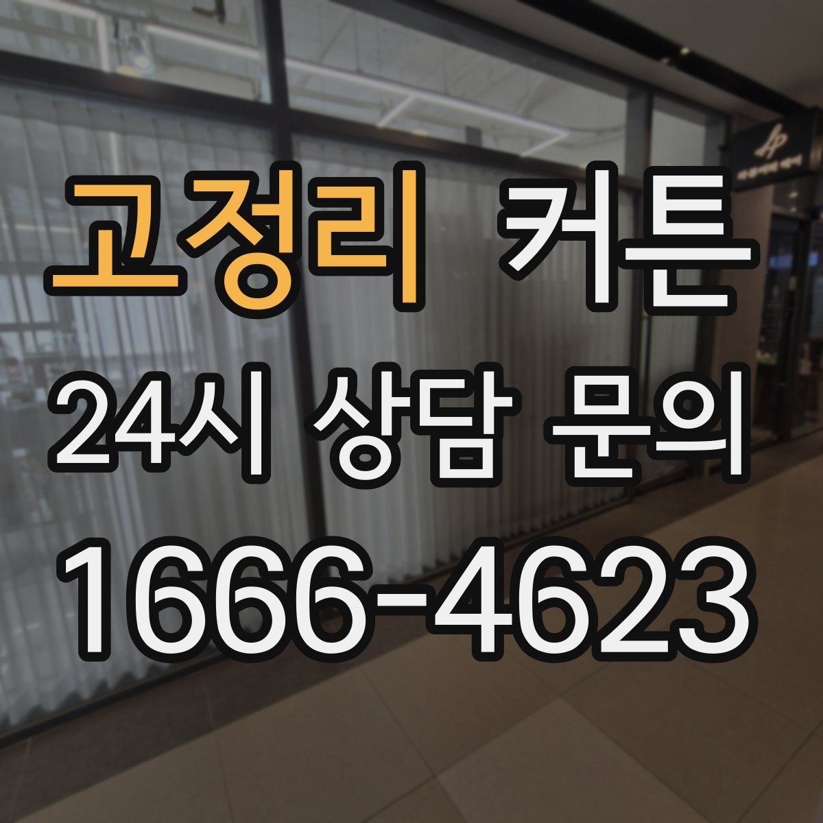 고정리 커튼