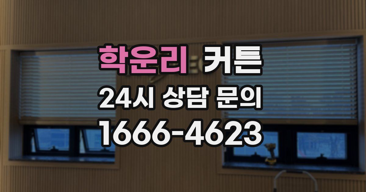학운리 커튼