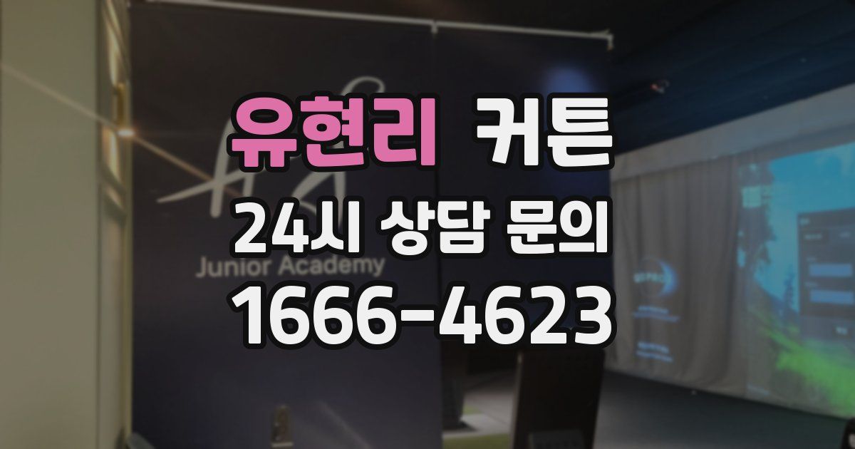 유현리 커튼