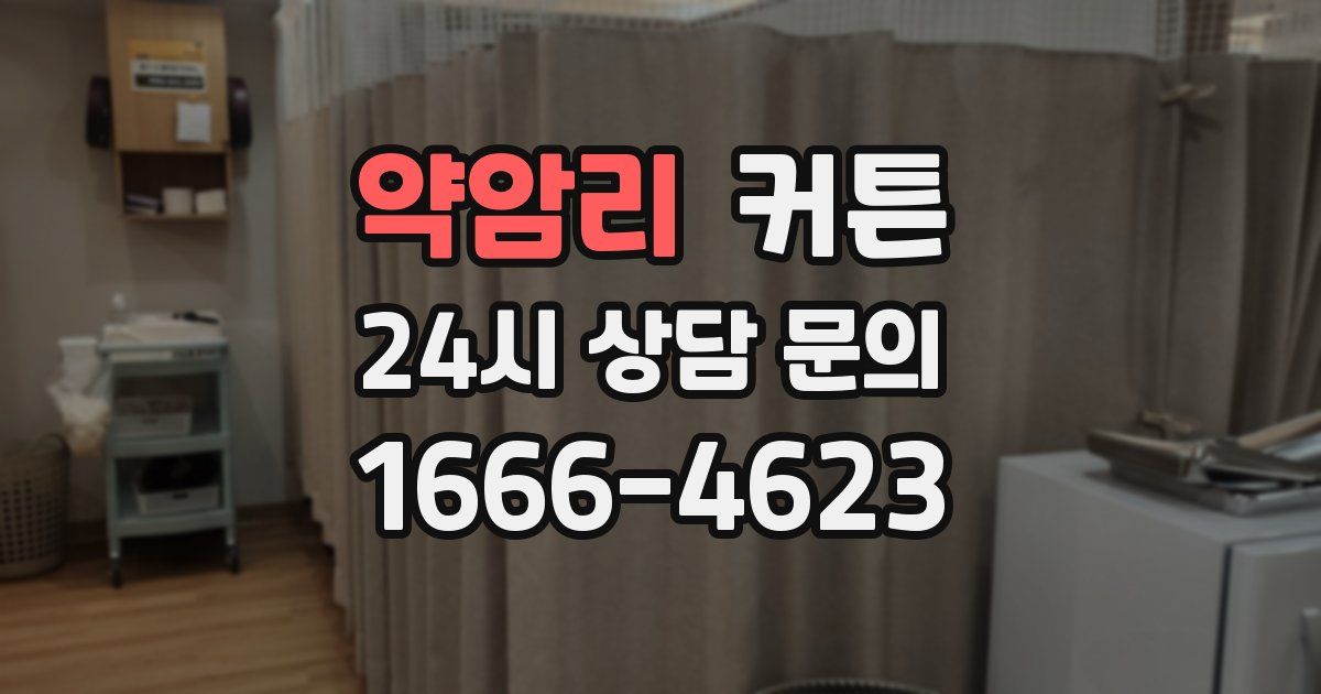 약암리 커튼