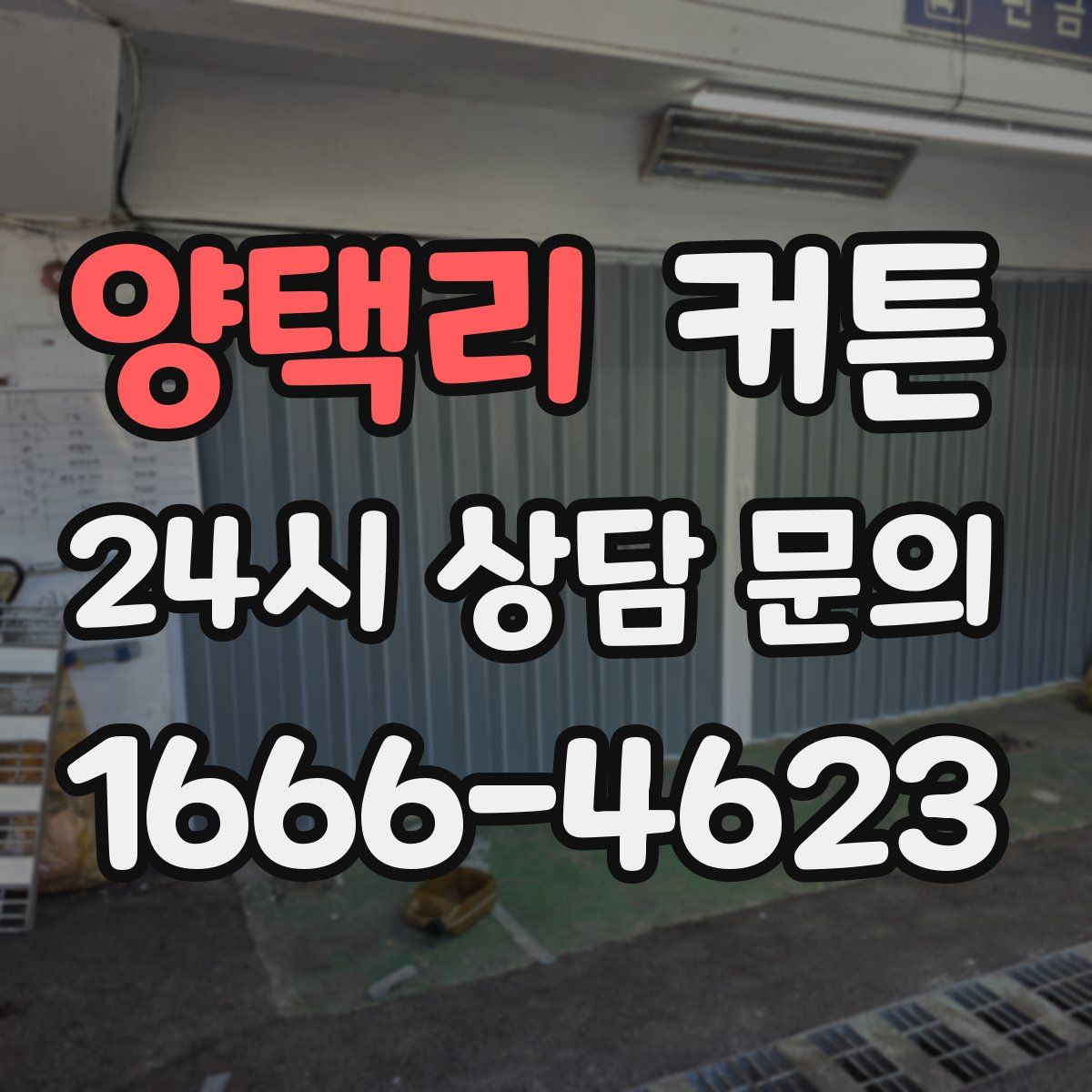 양택리 커튼