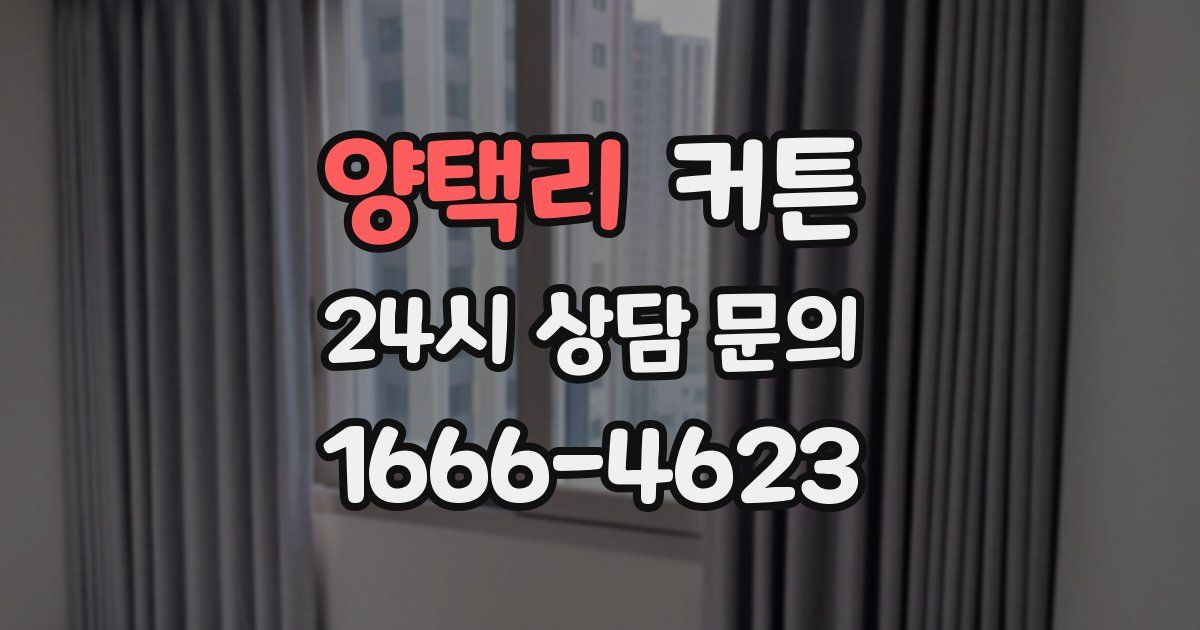 양택리 커튼