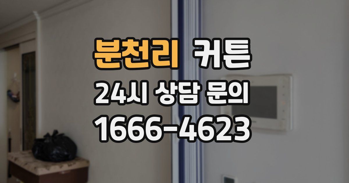 분천리 커튼