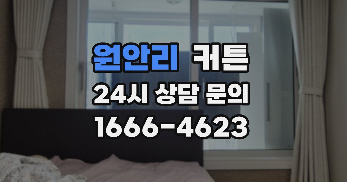 원안리 커튼