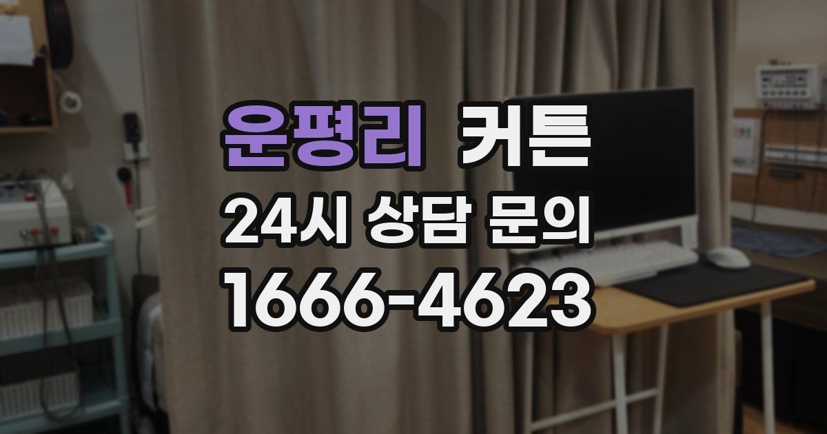 운평리 커튼