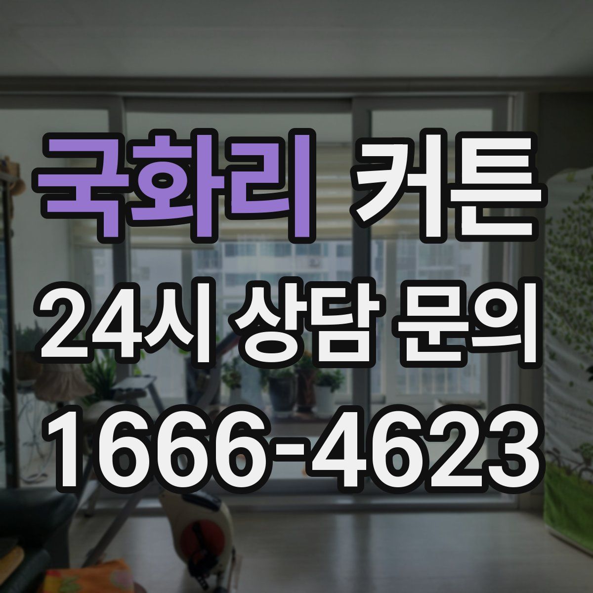 국화리 커튼