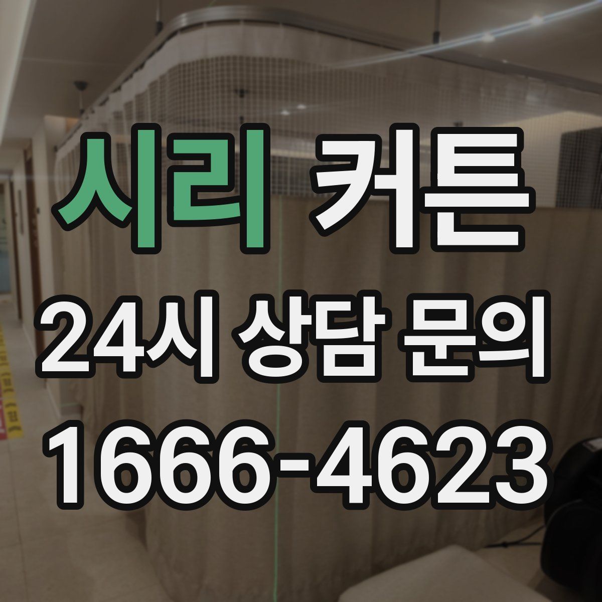 시리 커튼