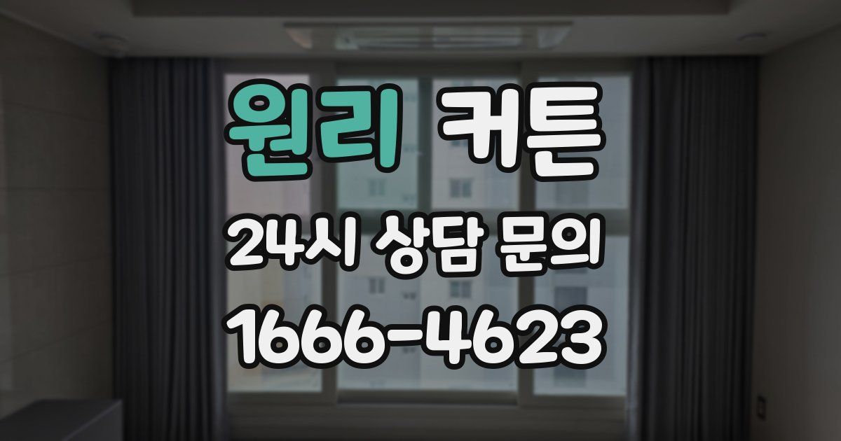원리 커튼