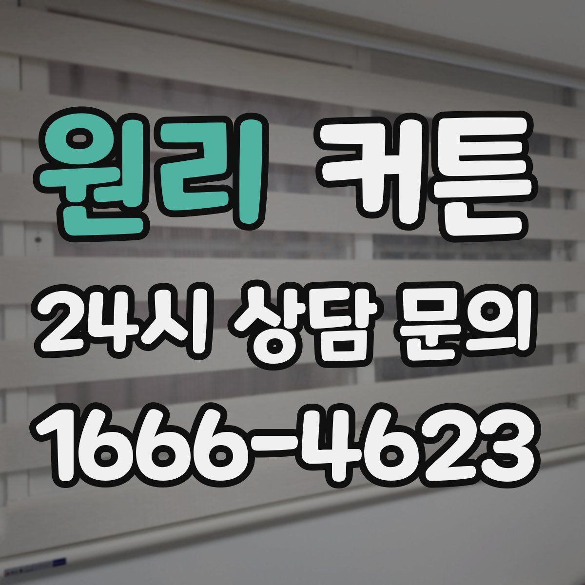 원리 커튼