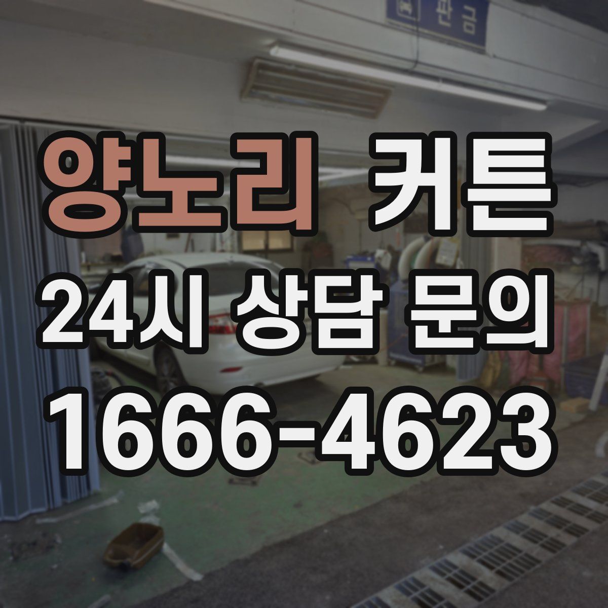 양노리 커튼