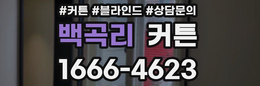 백곡리 커튼