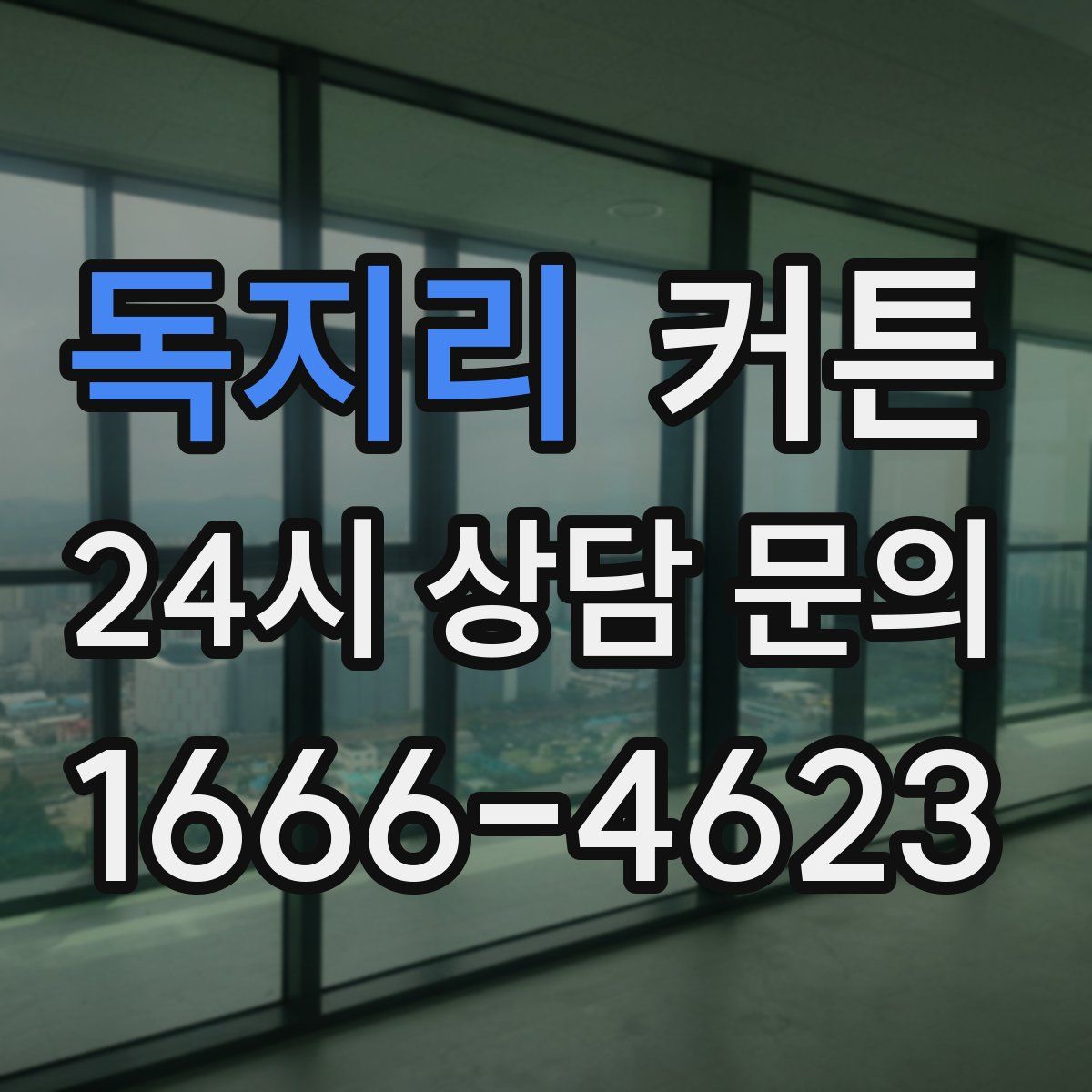 독지리 커튼