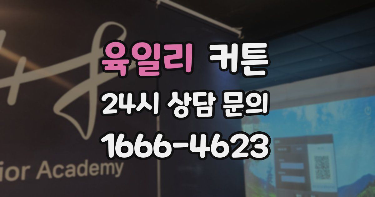 육일리 커튼