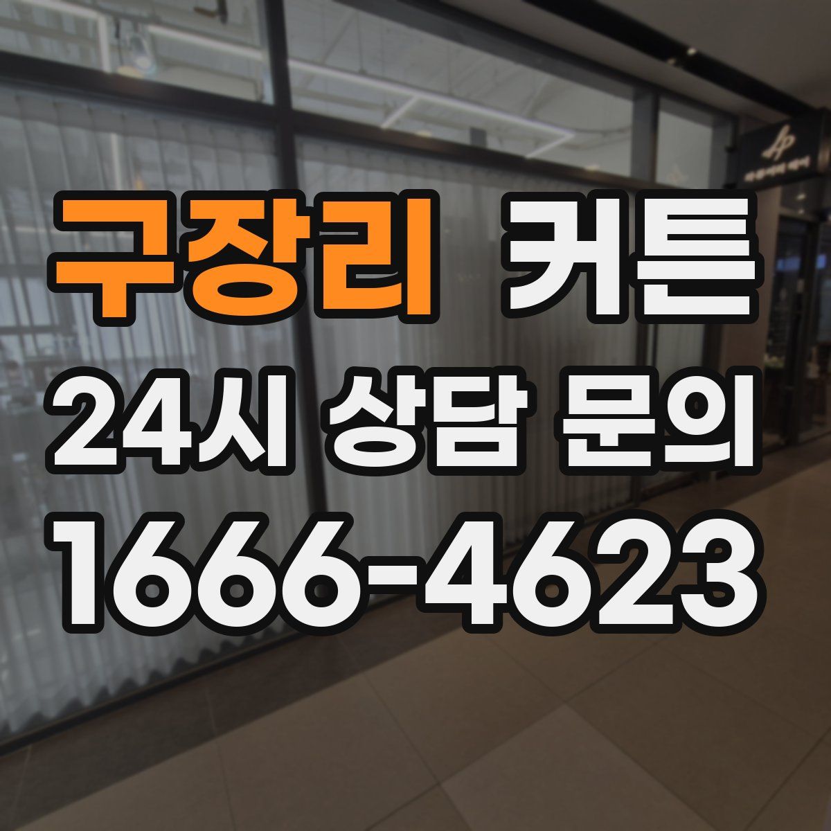 구장리 커튼
