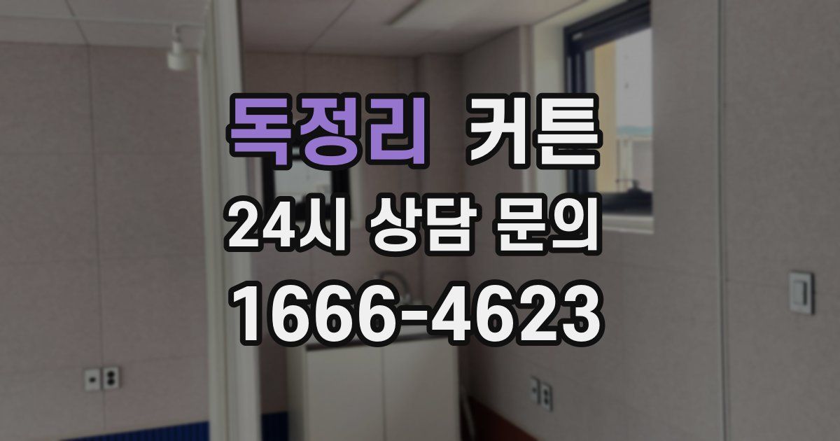 독정리 커튼