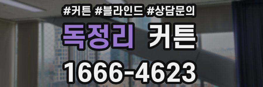 독정리 커튼