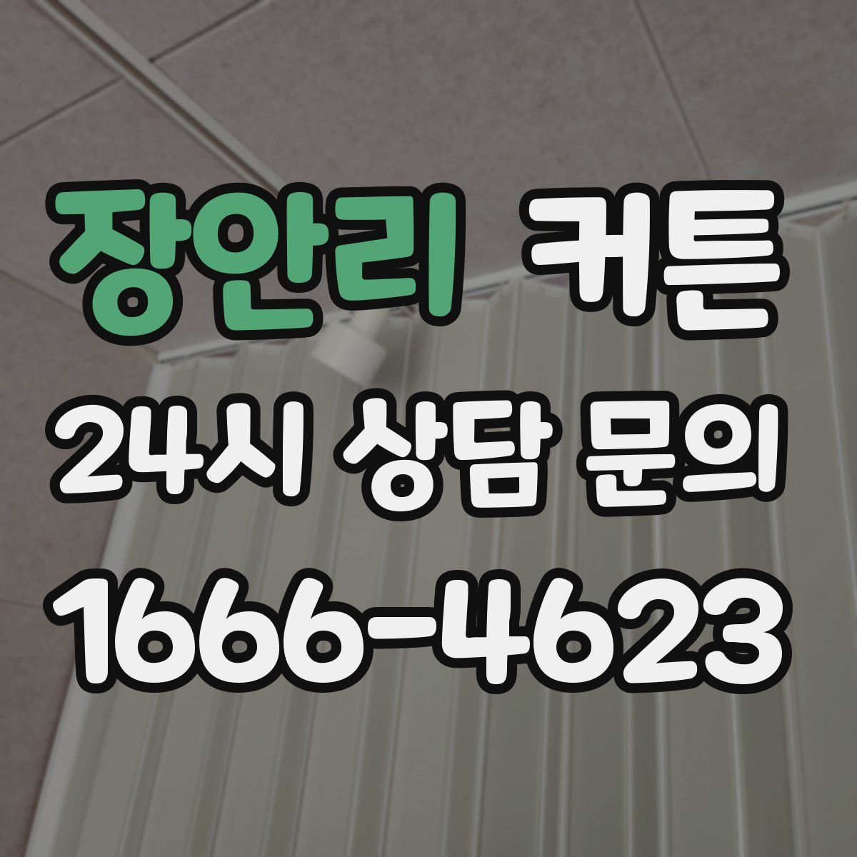 장안리 커튼