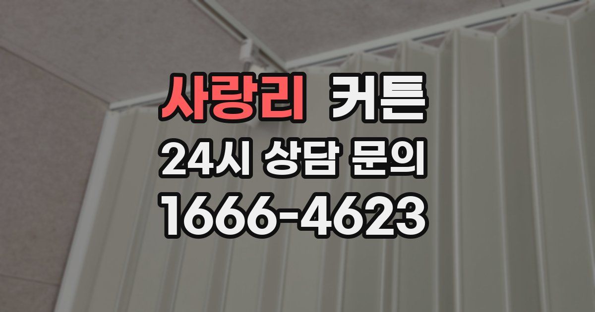 사랑리 커튼