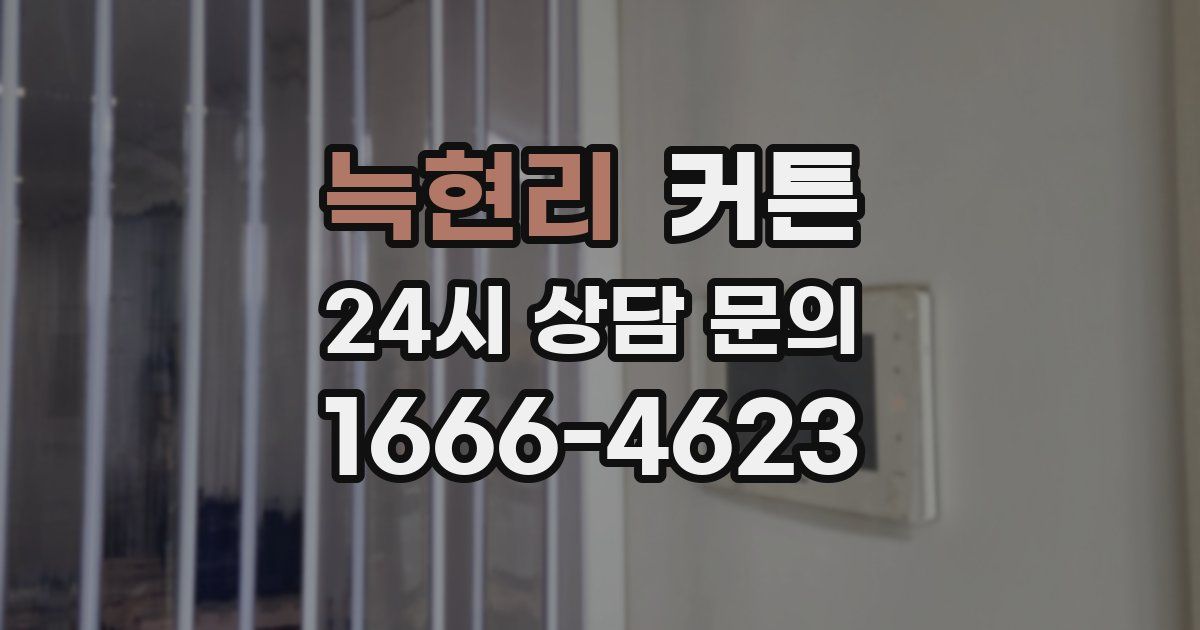 늑현리 커튼