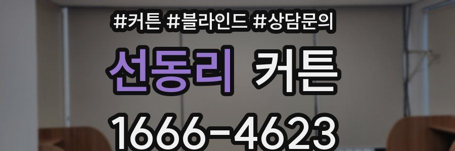 선동리 커튼