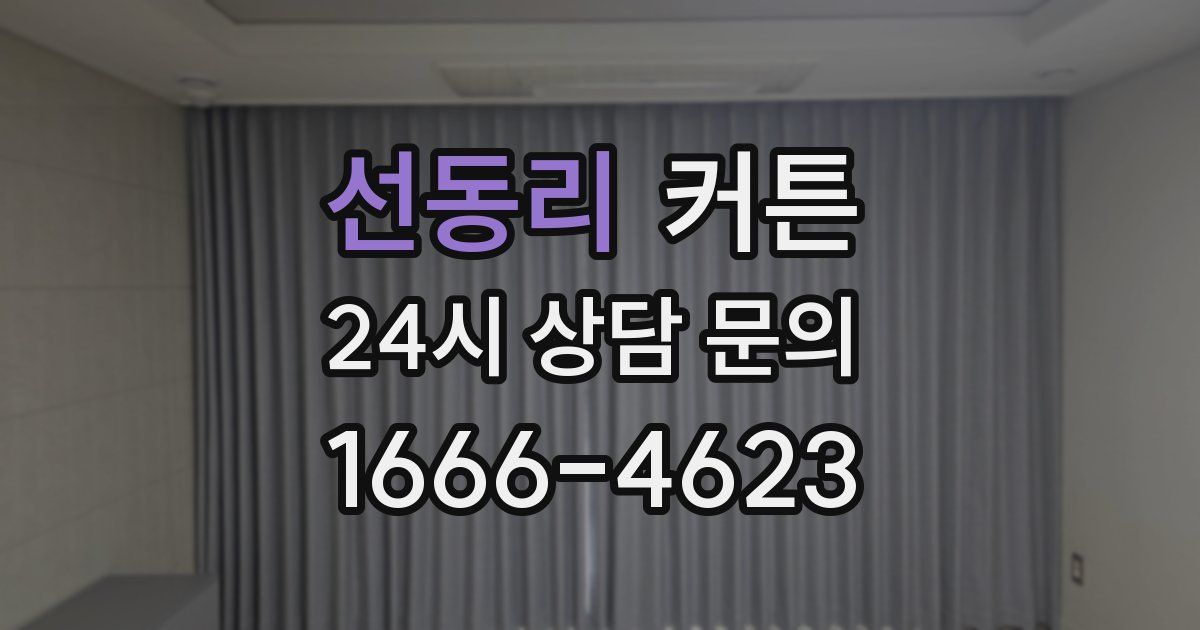 선동리 커튼