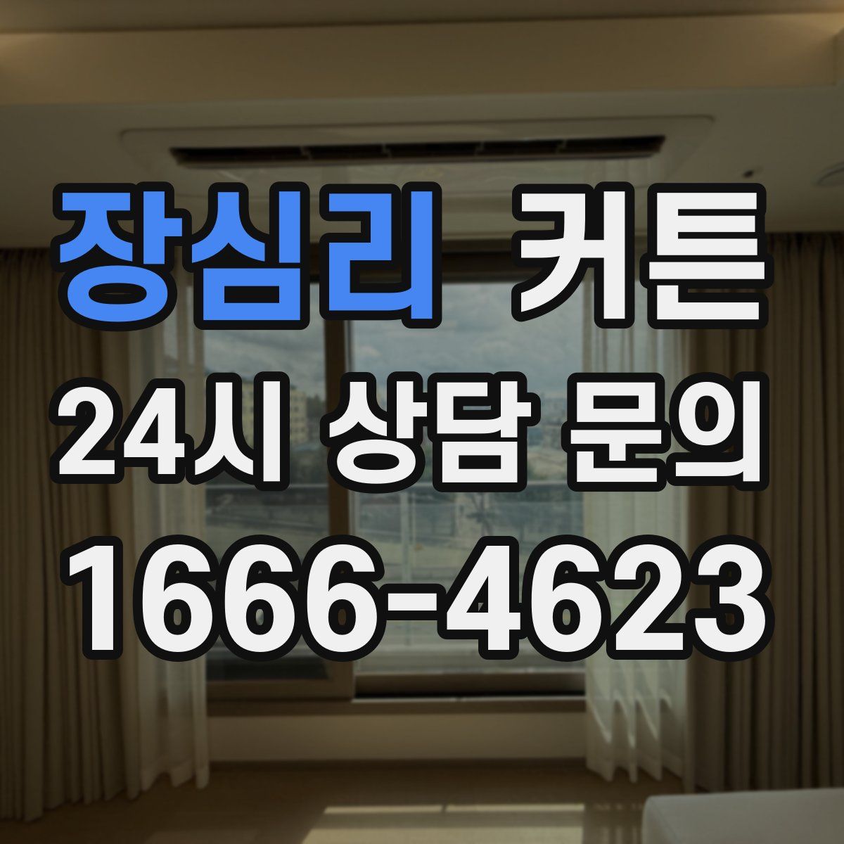 장심리 커튼